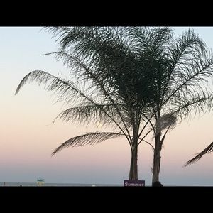 Meet your Posher, Wes